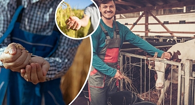 Uzman Eller Projesi Hibe Desteği Arttırıldı