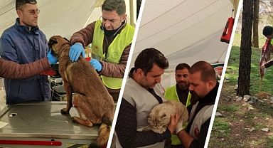 Tarım ve Orman Bakanlığı Deprem Bölgesindeki Hayvanların Yardımına Koşuyor
