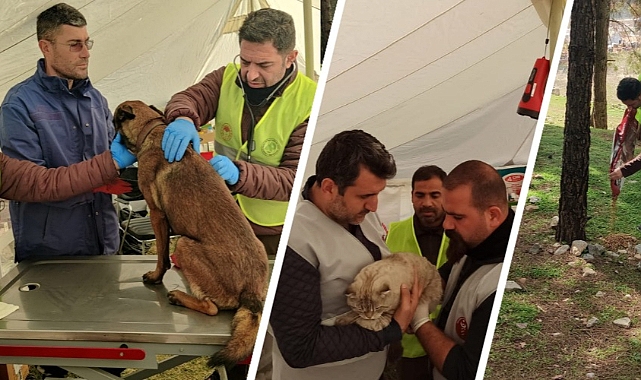 Tarım ve Orman Bakanlığı Deprem Bölgesindeki Hayvanların Yardımına Koşuyor