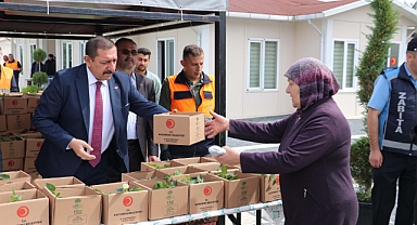 Kastamonu Belediyesi Ata Tohumundan Yetiştirilen Fide Dağıttı