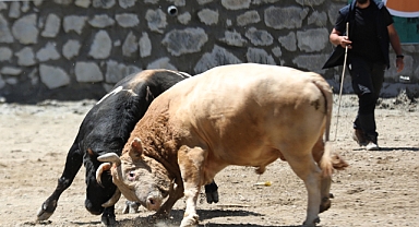 27. Çamlıhemşin Ayder Kültür, Sanat ve Doğa Festivali Başladı