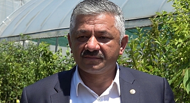 Fındık Üreticilerine Kahverengi Kokarcayla Mücadele Uyarısı