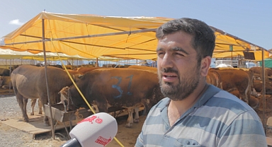 Kurban PazarInda Son Durum Ne? (Sokak Röportajı)