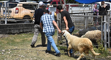 Ordu Kurban Pazarları'ndaki Hareketlilik 2.Gün de Devam Etti