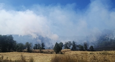 Bolu'da Çıkan Orman Yangını Kontrol Altına Alındı