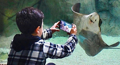 Trabzon Akvaryum'un Ziyaretçi Sayısı 350 Bin'i Aştı