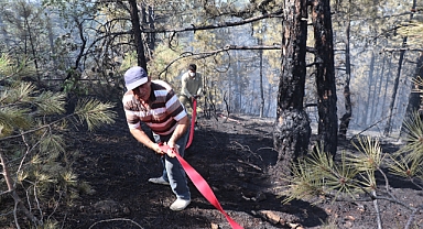 Bolu'da Çıkan Orman Yangını Kontrol Altına Alındı