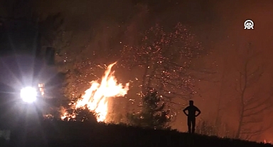 Çanakkale'deki Orman Yangını Nedeniyle 9 Yerleşim Yeri Boşaltıldı