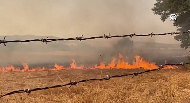 Çanakkale'nin Biga İlçesinde Ağaçlık Alanda Yangın Çıktı