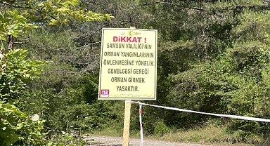 Cevizdibi Kanyonu Profesyonel Dağcılar Haricinde Girişe Kapatıldı