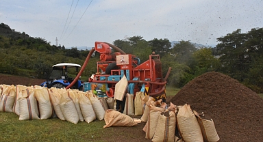 Fındık Üreticisinin Patoz Mesaisi Başladı
