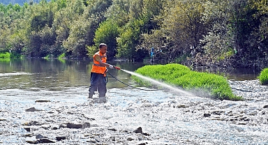 Karabük Belediyesi Sivrisineklerle Mücadele Çalışmalarına Devam Ediyor