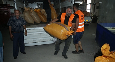 TMO Ordu'da Fındık Alımlarına Başladı