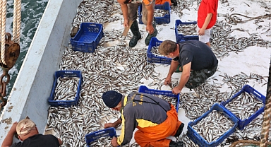 Balık Sezonu Mezgit Bereketiyle Başladı
