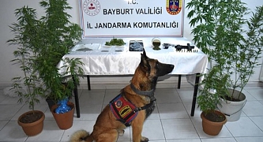 Bayburt'ta Uyuşturucu Operasyonunda 2 Kişi Tutuklandı