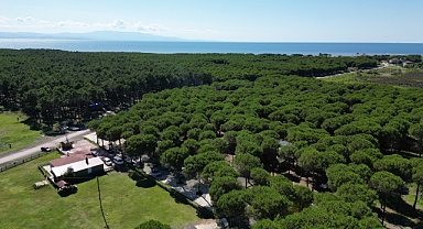 Çarşamba Halkı Orman Parkı'nı Çok Sevdi