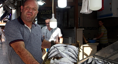 Karadeniz'de Palamut Tezgaha Çıkmaya Başladı