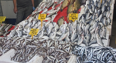 Samsun'da Mezgit ve İstavrit Tezgahtaki Yerini Aldı