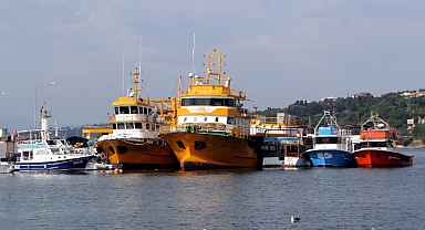 Sinop'ta Balıkçılar İlk Avdan Eli Boş Döndü