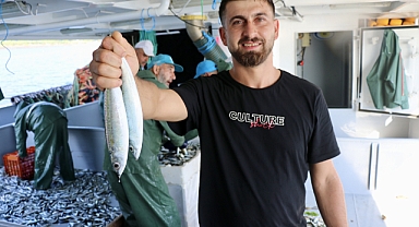 Trabzon'da Balıkçılar İlk Avdan İstavritle Döndü