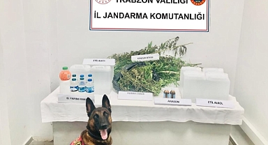 Trabzon'da Evinde Kenevir Yetiştiren Kişi Gözaltına Alındı