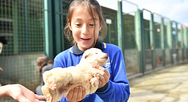 Trabzon Büyükşehir Belediyesi Hayvanları Koruma Haftasını Kutladı