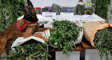 Trabzon'da Uyuşturucu Operasyonunda 5 Kişi Yakalandı