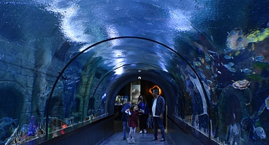 Tünel Akvaryum'u 16 Ayda 446 Bin Kişi Ziyaret Etti
