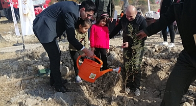 Anaokulu Öğrencileri Kargı'da Fidan Dikti