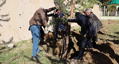 Bayburt'ta Okul Bahçeleri Ağaçlandırılıyor