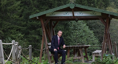 Cumhurbaşkanı Erdoğan, Ayder Yaylası'nda İncelemelerde Bulundu