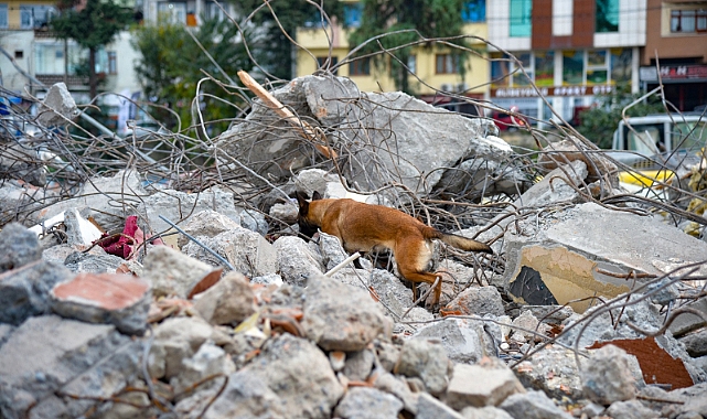Trabzon'da Nefes Kesen Arama Kurtarma Tatbikatı