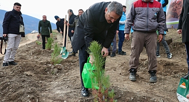 Tokat Belediyesi 10 Yılda 200 Bin Fidanı Toprakla Buluşturdu