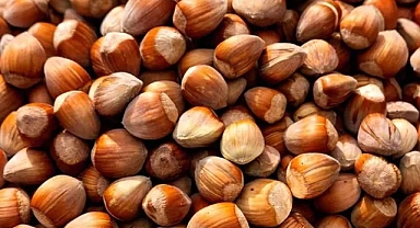 Trabzon'dan 11 Ayda 479,9 Milyon Dolarlık Fındık İhraç Edildi