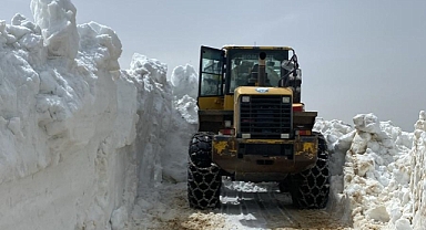  Trabzon Büyükşehir Belediyesi Yayla Yollarını Ulaşıma Açıyor