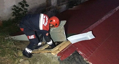 Trabzon İtfaiyesi Yavru Kedi İçin Seferber Oldu