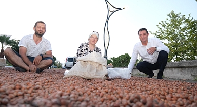 Başkan Köse Sahilde Fındık Kurutan Üreticileri Ziyaret Etti