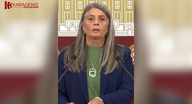 CHP Trabzon Milletvekili Sibel Suiçmez Kahverengi Kokarca Sorunuyla İlgili Mecliste Basın Toplantısı Düzenledi