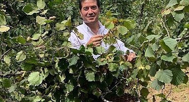 Ortahisar Belediyesi'nden Kahverengi Kokarcayla Mücadeleye Destek