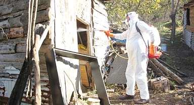 Giresun Belediyesi'nden Kahverengi Kokarcayla Mücadeleye Destek