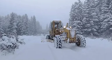 Ordu'da Karda Mahsur Kalan 4 Kişiyi Arama Çalışmaları Sürüyor