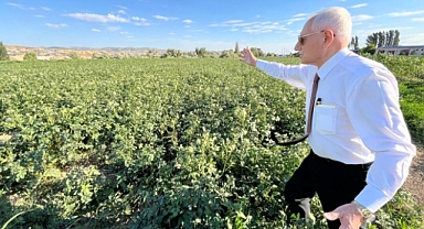 Prof Dr. Mehmet Haberal 