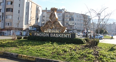 Giresun'da Kavşak Park Yollarına Fındık Dikiliyor