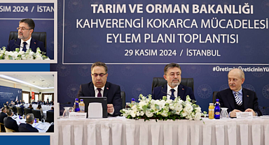 Kahverengi Kokarcayla Mücadele Eylem Planı Hazır