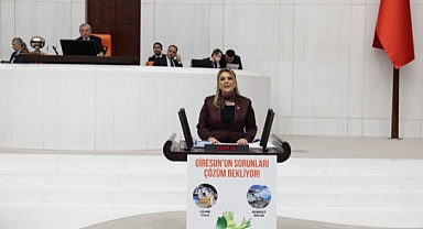 Milletvekili Gezmiş, "Giresun Bu İktidar Döneminde Geriye Gitti"