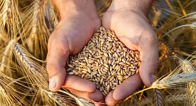 Ata Tohumları Şubat Ayından İtibaren Tarım Kredi Marketlerinde Satışa Sunulacak