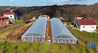 Ordu Büyükşehir Belediyesi'nden Örtü Altı Tarıma Destek