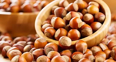 Fındık İhracatında Rekor Gelir: 1,5 Dolar Aşıldı