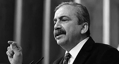 DEM Partili Sırrı Süreyya Önder Hayatını Kaybetti