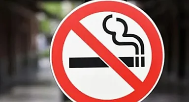 Artvin Türkiye'nin İlk 'Sigarasız Şehri' Oluyor